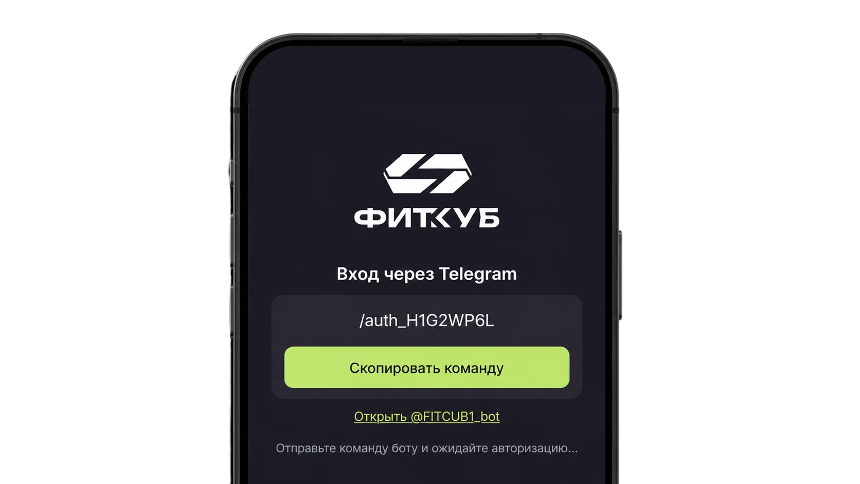 Экран входа в веб-приложение ФИТКУБ